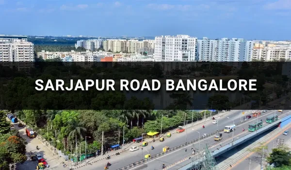 Kanakapura Road Featured Image of Kanakapura Road